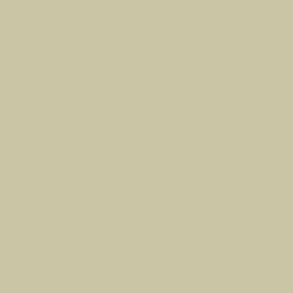 Farrow & Ball Ash Grey No. W9 Colour