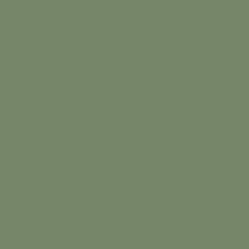 Farrow & Ball Calke Green No. 34 Colour