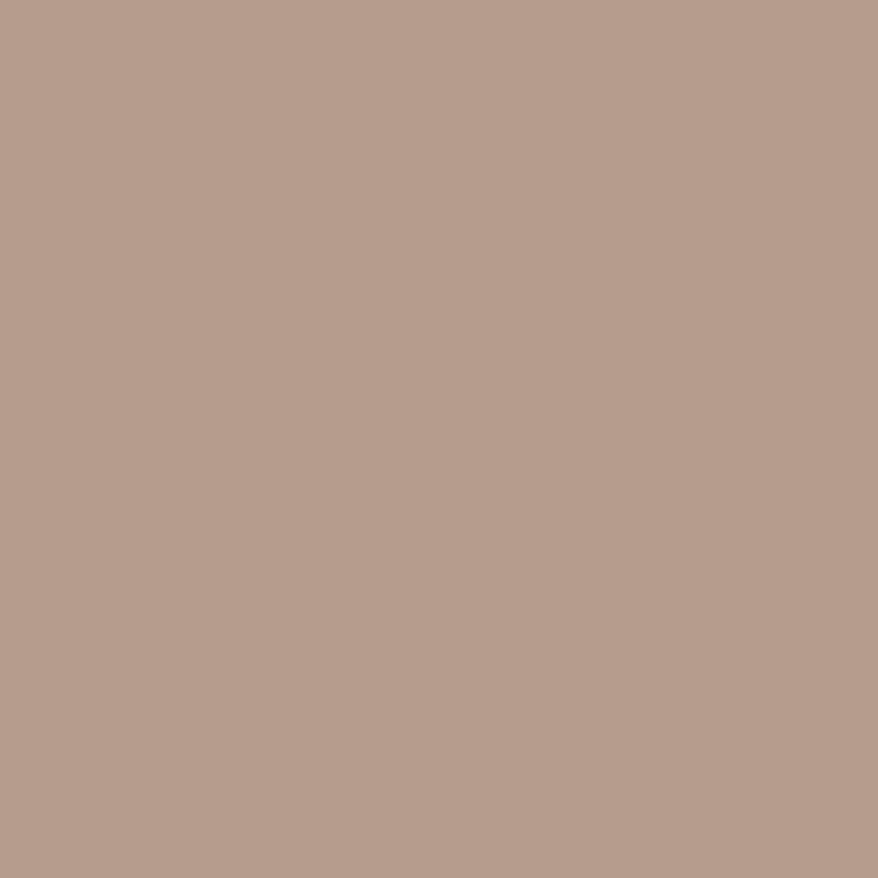 Farrow & Ball Dead Salmon No. 28 Colour